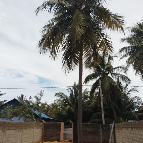 Land Sale Kattankudy