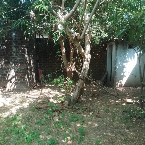Land Sale Kattankudy