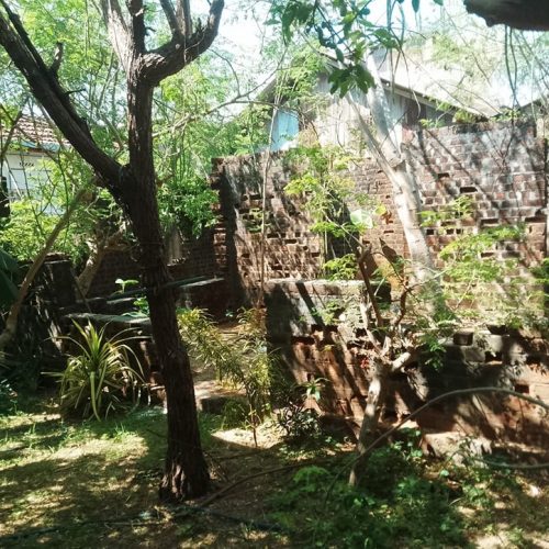 Land Sale Kattankudy
