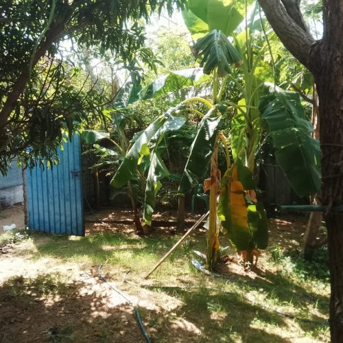 Land Sale Kattankudy