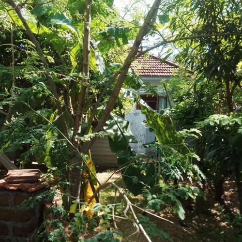 Land Sale Kattankudy
