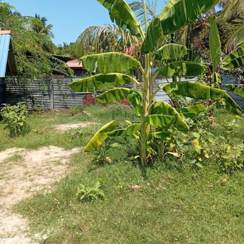 Land Sale Kattankudy