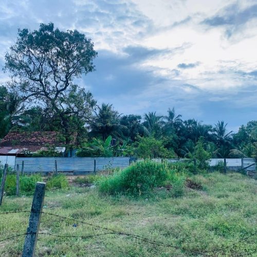 Land Sale Manchanthoduvai