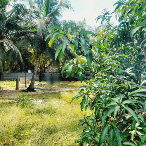 LAND-SALE-MANCHANTHODUVAI-5830-1