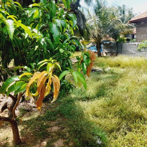 LAND-SALE-MANCHANTHODUVAI-5830-2