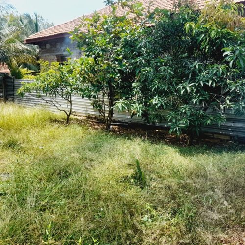 LAND-SALE-MANCHANTHODUVAI-5830-4