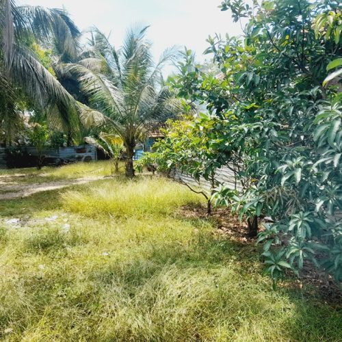 LAND-SALE-MANCHANTHODUVAI-5830-5