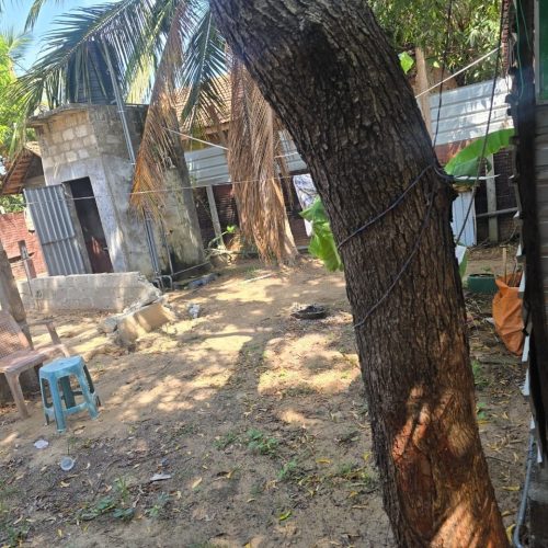 Land Sale Manchanthoduvai