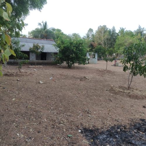 Land Sale Oddamavadi