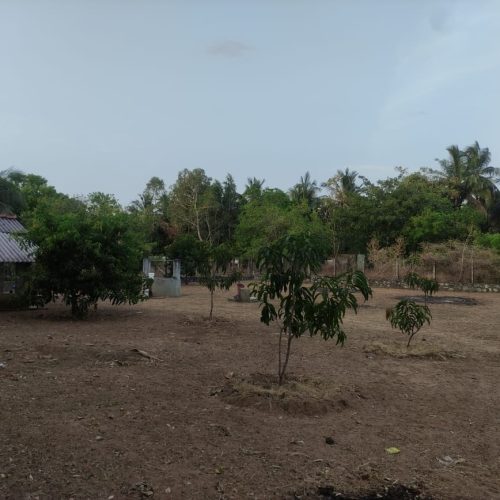 Land Sale Oddamavadi