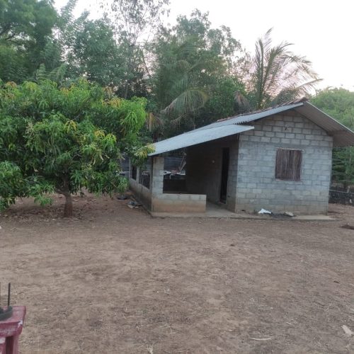 Land Sale Oddamavadi