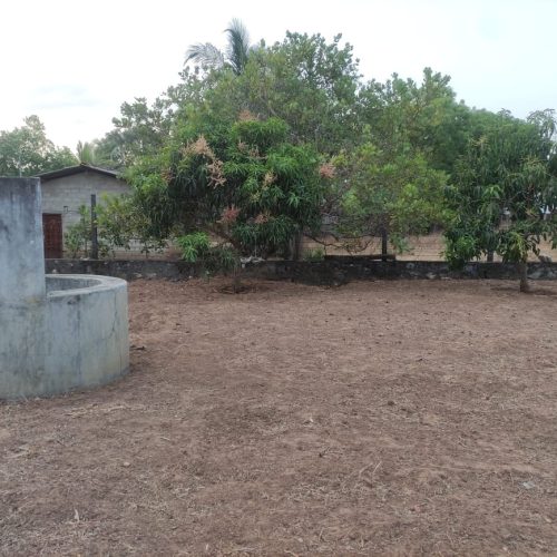 Land Sale Oddamavadi