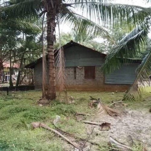 LAND-SALE-OLLIKKULAM-5740-1