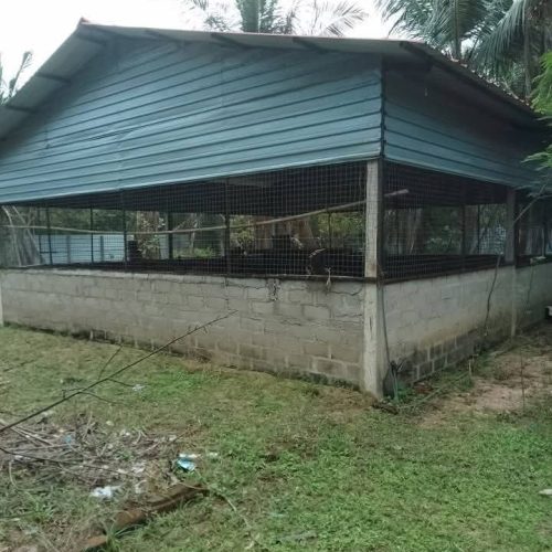 LAND-SALE-OLLIKKULAM-5740-3