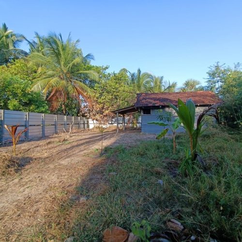 Land Sale Ollikkulam