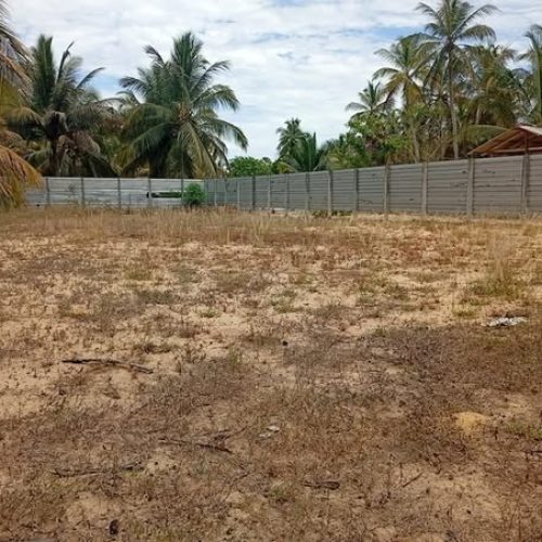 LAND-SALE-PALAMUANAI-5920-1