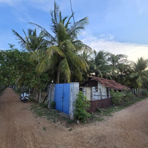 Land Sale Palamunai