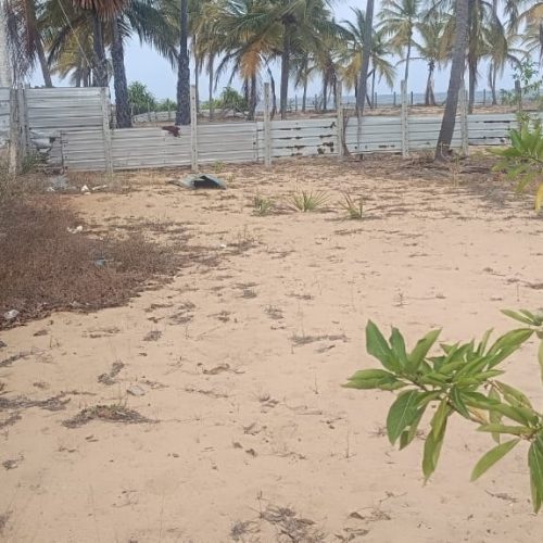 Land Sale Palamunai