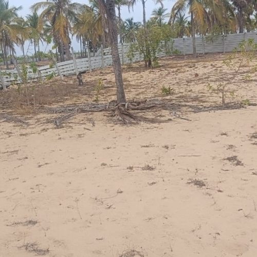 Land Sale Palamunai