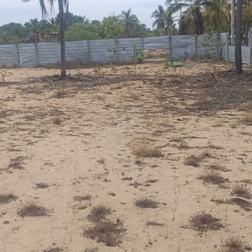 Land Sale Palamunai