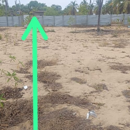 Land Sale Palamunai