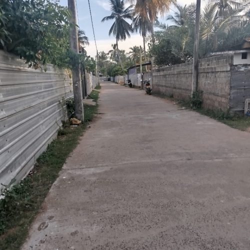 Land Sale Palamunai