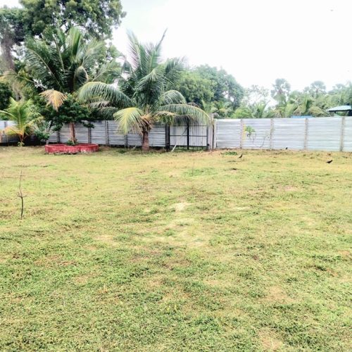 LAND-SALE-PALAMUNAI-5584-2