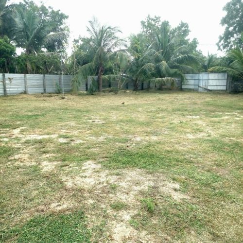 LAND-SALE-PALAMUNAI-5584-3