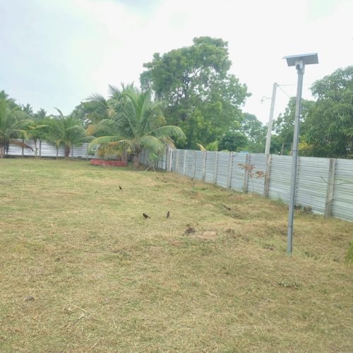 LAND-SALE-PALAMUNAI-5584-7