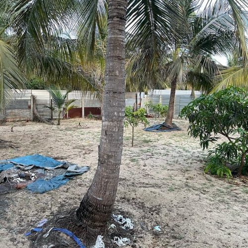 LAND-SALE-PALAMUNAI-5913-2