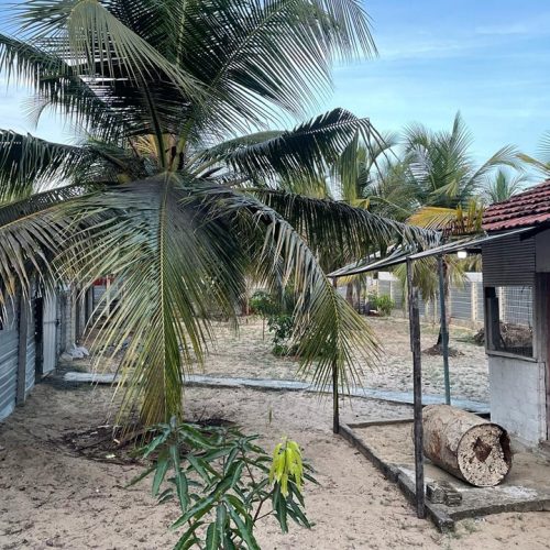 LAND-SALE-PALAMUNAI-5913-3
