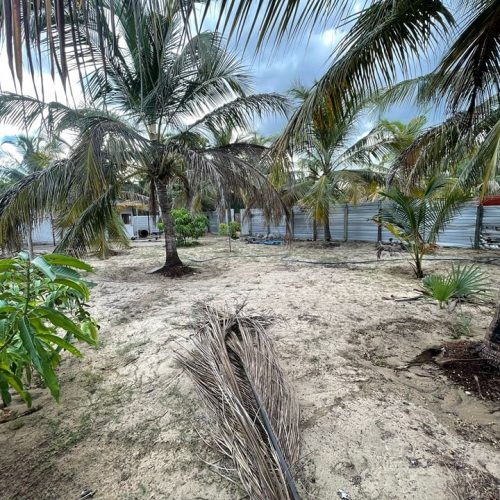 LAND-SALE-PALAMUNAI-5913-5