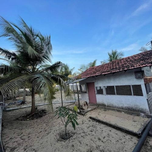 LAND-SALE-PALAMUNAI-5913-6
