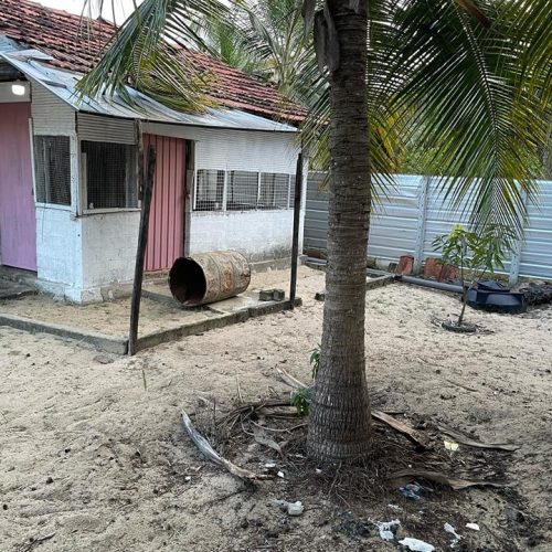LAND-SALE-PALAMUNAI-5913-7