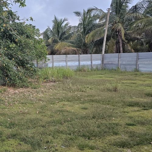LAND-SALE-PALAMUNAI-5937-3