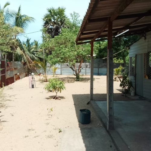 LAND-SALE-PALAMUNAI-5956-2