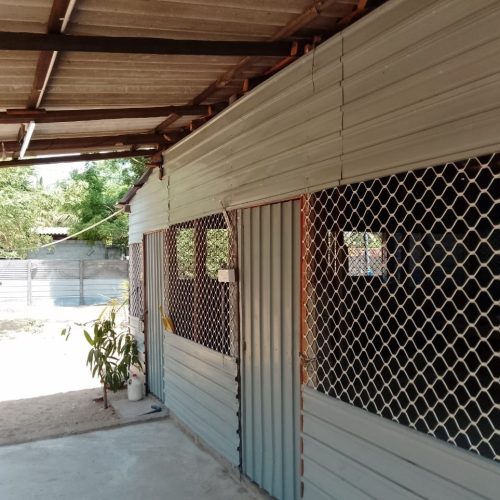 LAND-SALE-PALAMUNAI-5956-4