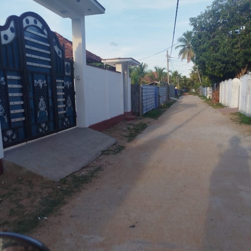 Land Sale Palamunai