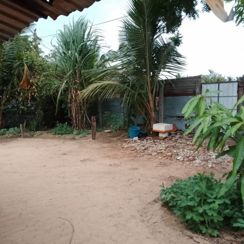 LAND-SALE-PALAMUNAI-6015-3