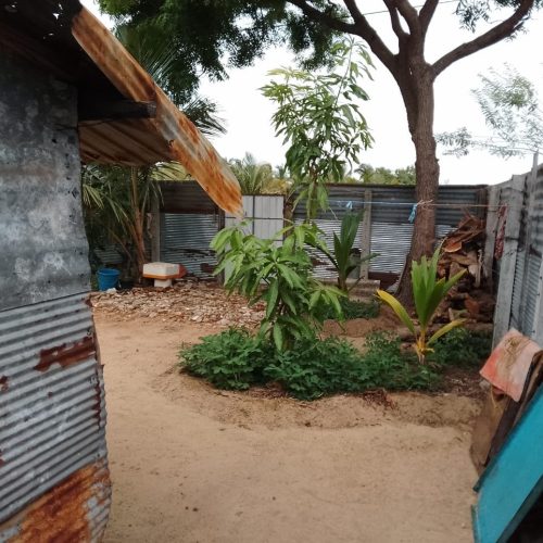 LAND-SALE-PALAMUNAI-6015-5