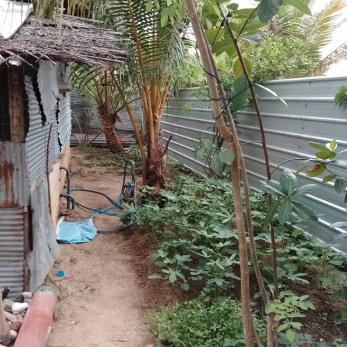 LAND-SALE-PALAMUNAI-6015-7