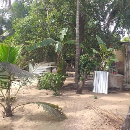 LAND-SALE-PALAMUNAI-6027-1