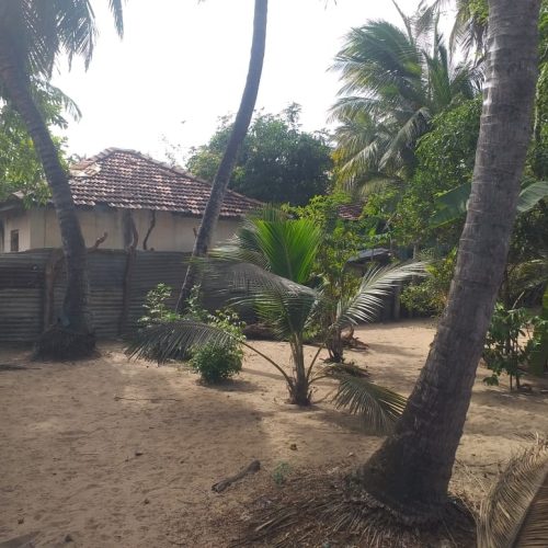 LAND-SALE-PALAMUNAI-6027-2