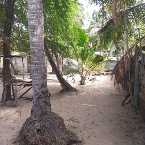 LAND-SALE-PALAMUNAI-6027-3