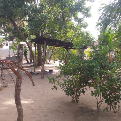 LAND-SALE-PALAMUNAI-6027-5
