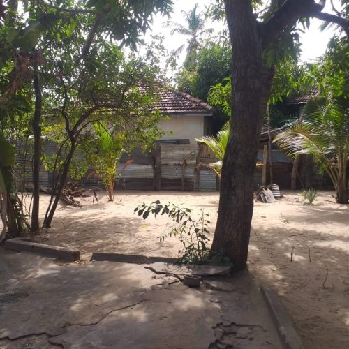 LAND-SALE-PALAMUNAI-6027-6