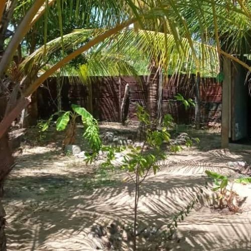 LAND-SALE-PALAMUNAI-6036-1