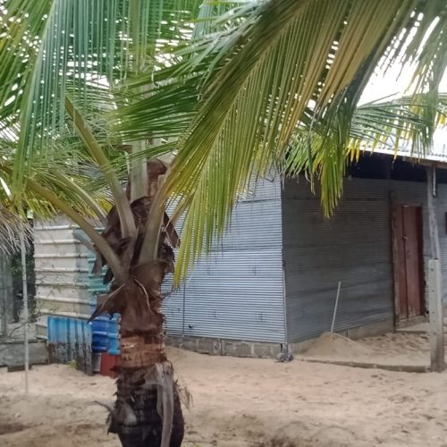 LAND-SALE-PALAMUNAI-6042-2