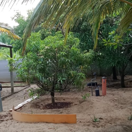 LAND-SALE-PALAMUNAI-6042-3