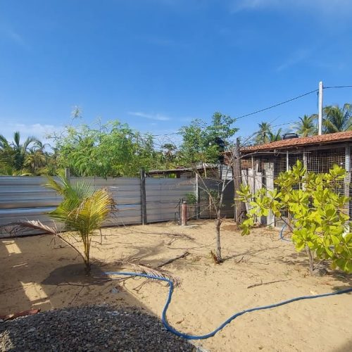 LAND-SALE-PALAMUNAI-6073-1